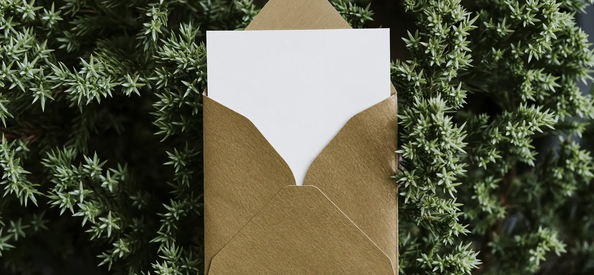 A Letter To My Inner Child