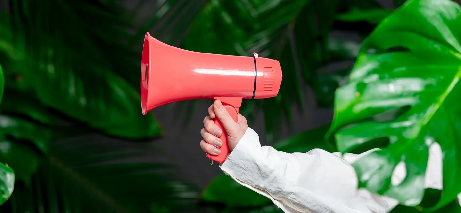 The Voice of My Teenage Self